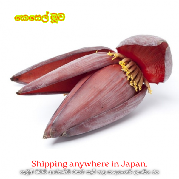Banana Blossom – කෙසෙල් මූව