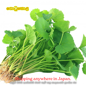 Gotukola – ගොටුකොළ 100g